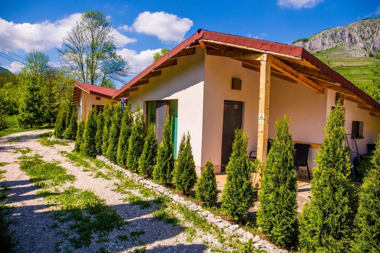 Studiouri Valisoara Ngoại thất bức ảnh
